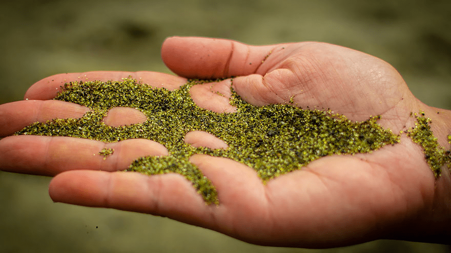 Papakōlea Green Sand Beach, Hawaii