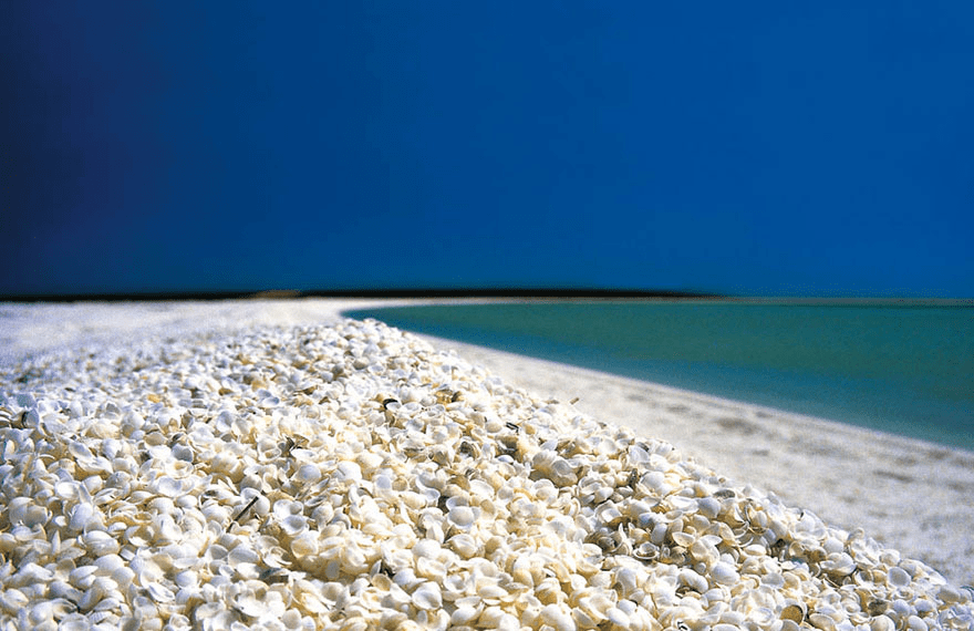 Shark Bay, Australia’s Shell Beach