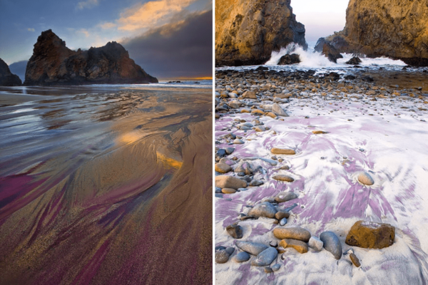 California’s Pfeiffer Purple Sand Beach