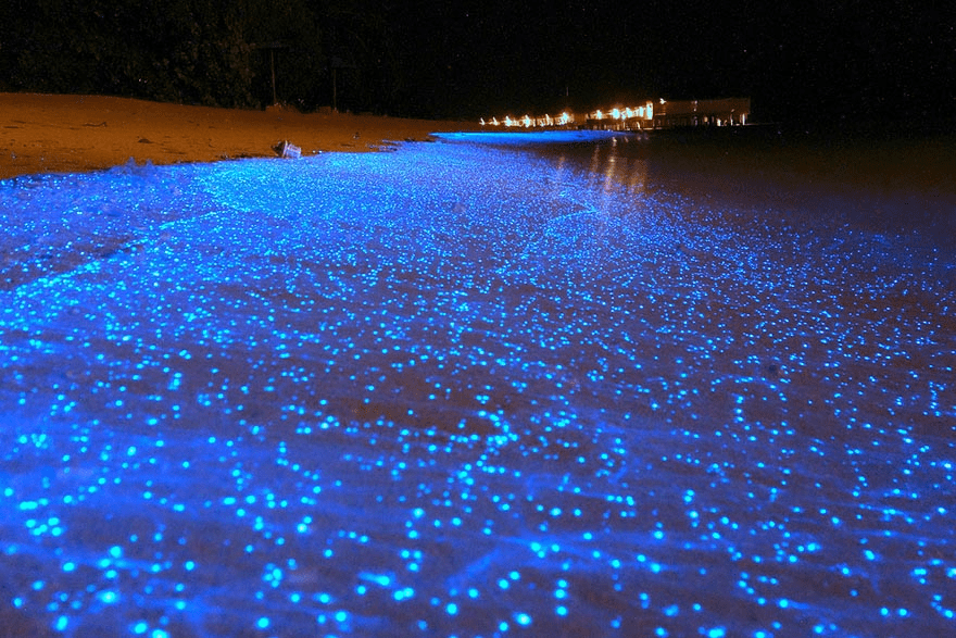 A Maldives beach that resembles a starry night sky