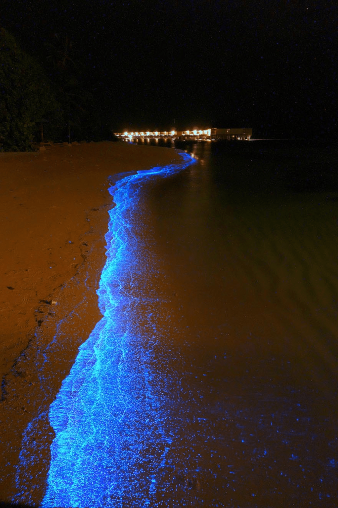 A Maldives beach that resembles a starry night sky