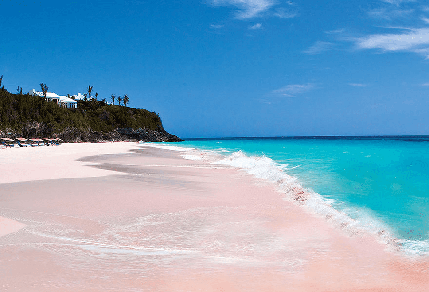 Pink Sand Beach in the Bahamas