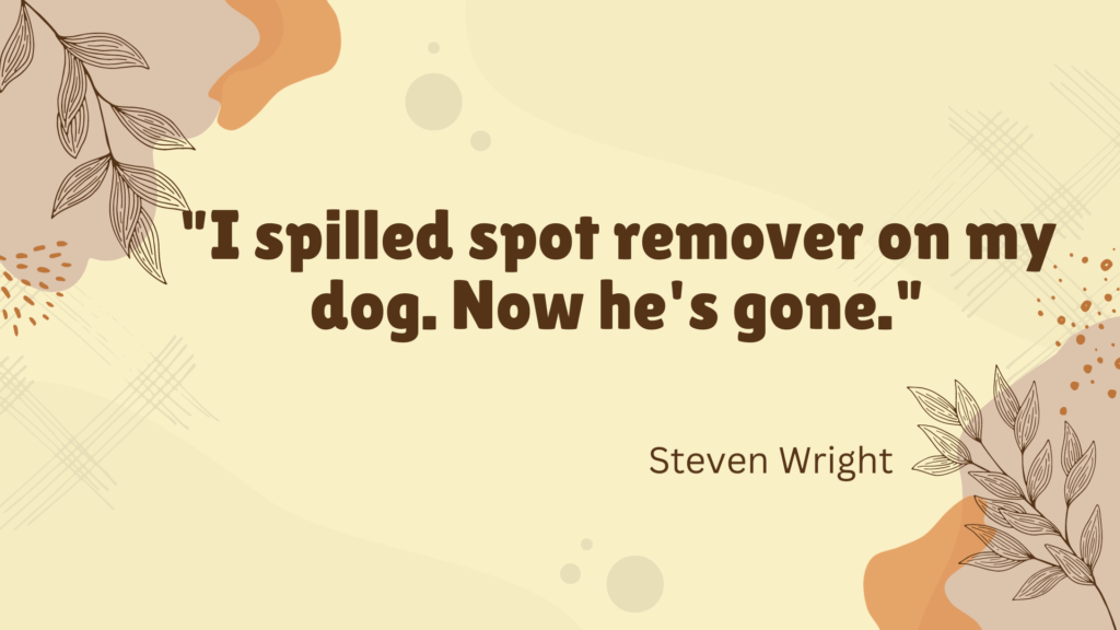 "I spilled spot remover on my dog. Now he's gone." - Steven Wright